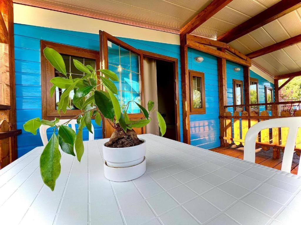 Camping Village Tuscia Tirrenica Tarquinia Bagian luar foto