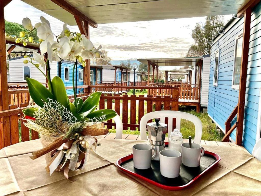 Camping Village Tuscia Tirrenica Tarquinia Bagian luar foto